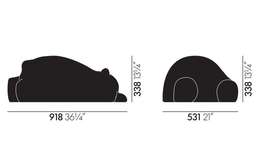 resting bear