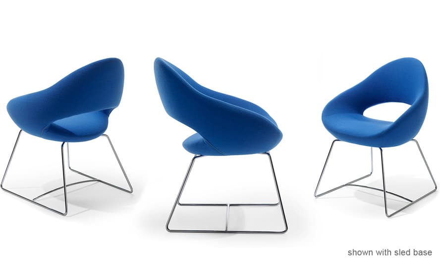 shark chair