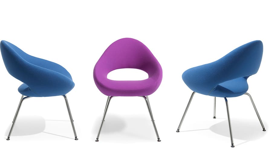 shark chair