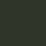 beech - soft green (NCS S8010 G10Y)