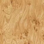 tall / 24" height - white oak burl