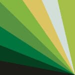 8 drawer - green palette