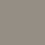 warm grey neutral