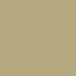 pale sand / RAL 1000