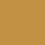 mustard / NCS S 3060 Y10R