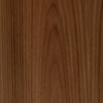 america walnut