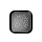 small - baby's breath