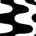patterned black / white