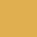 9.8" diameter - amber