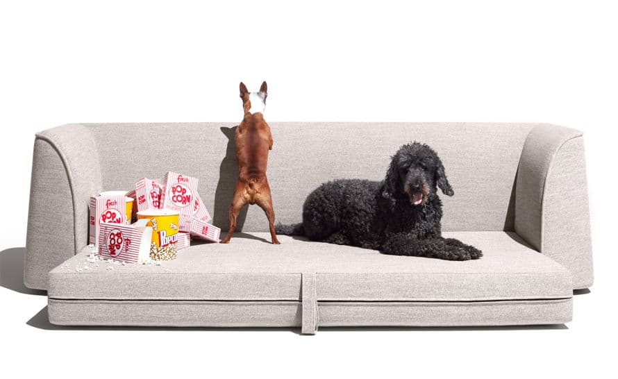 thataway sleeper sofa