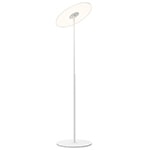 circa led floor lamp