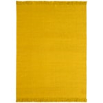 colors rug